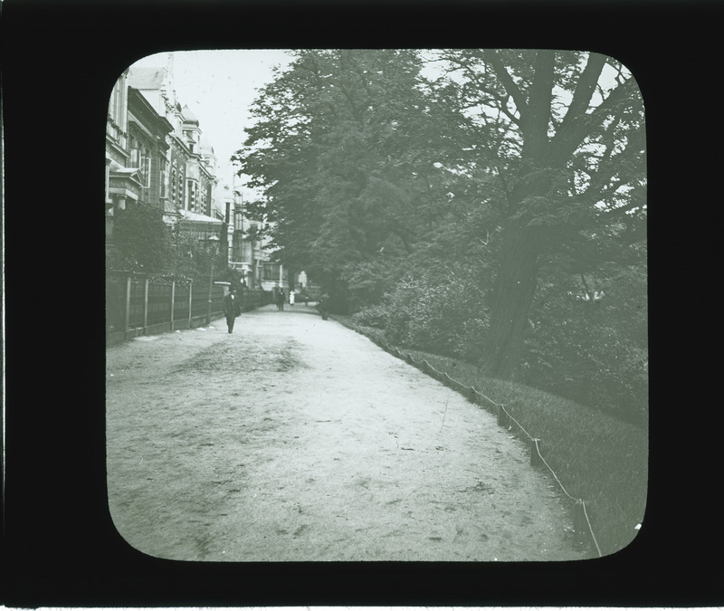 Promenade in the moat park (Wallenlagen), with Robinia pseudoacacia (black locust) in foreground, much used in this park [Neg. Negus Schwanthaler].