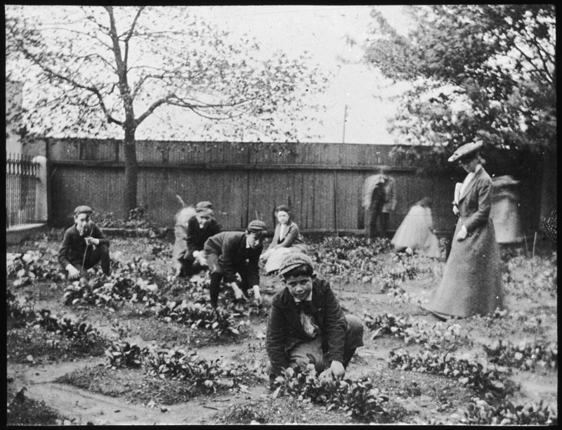 Branch, school garden, Boston, Massachusetts.