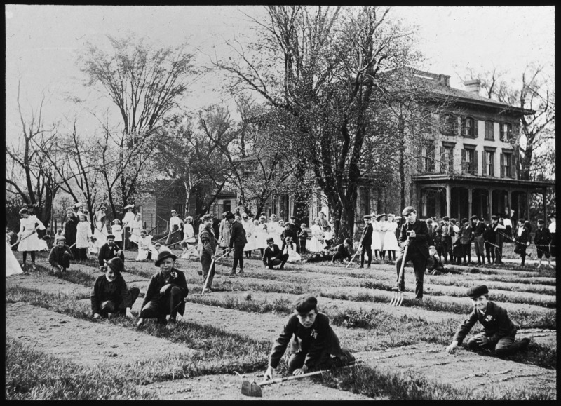 Branch, school garden, university settlement, Milwaukee, Wisconsin.