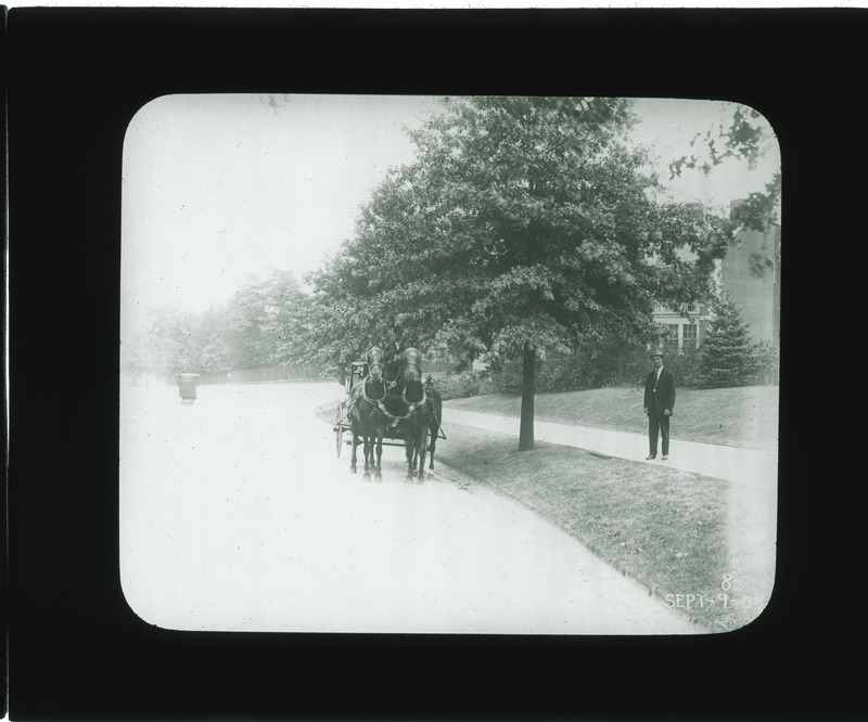 Tree lined road in Sept. 9, 1909.