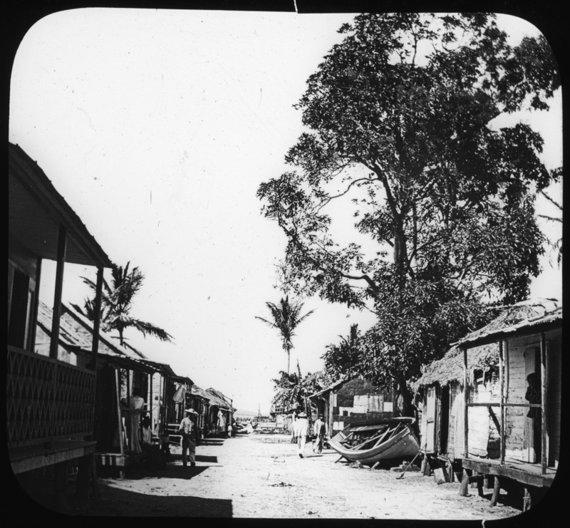 Street scene with mango in Catano, Puerto Rico [League for Social Service, New York, no. 4-4].