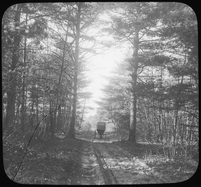 Billerica Forest Highway, Massachusetts.
