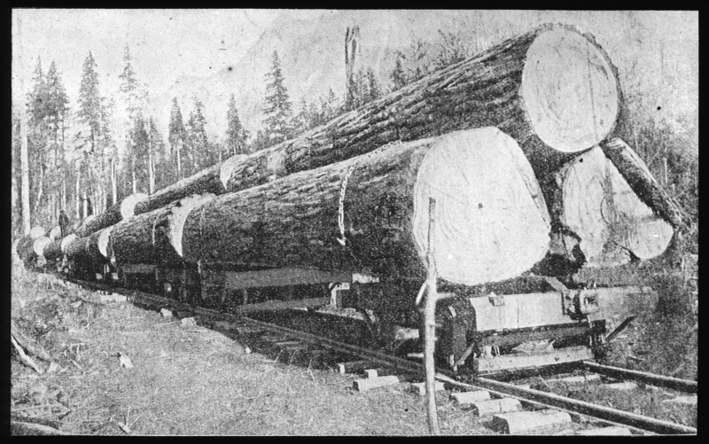 Log-train in state of Washington.