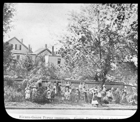4th grade pupils observing, George Putnam School Garden, Boston, Massachusetts.