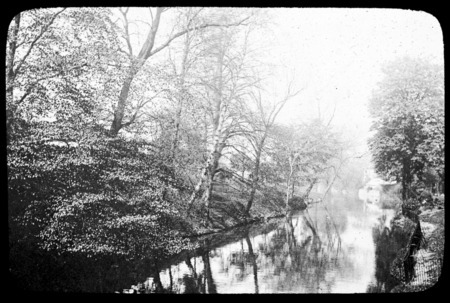 Riverbank in Spring.