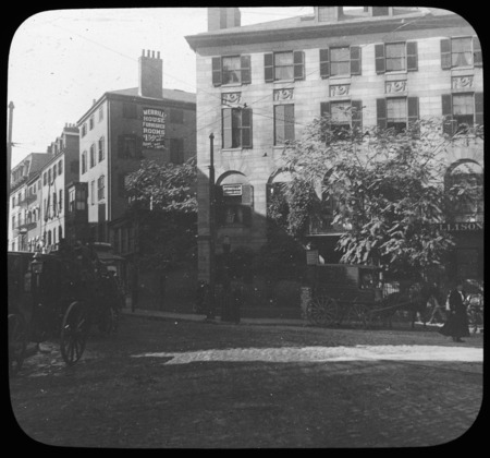 Ellison house with Ailanthus.