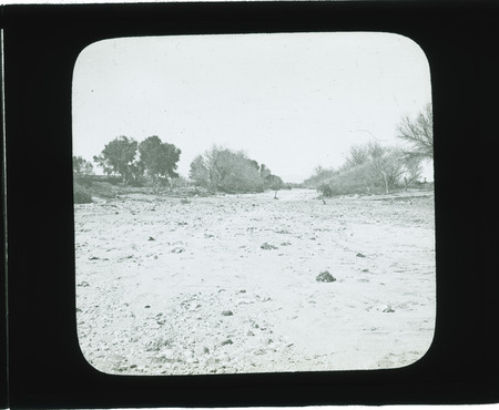 Along the Santa Cruz River, three successive levels with encroaching willows and cottonwoods. Ordinary condition, underground flow, Tucson, Arizona.