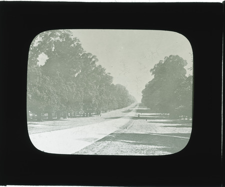 The long avenue, Windsor.