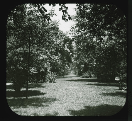 Garden on Grand Avenue, Louisiana Purchase Exposition 1904.