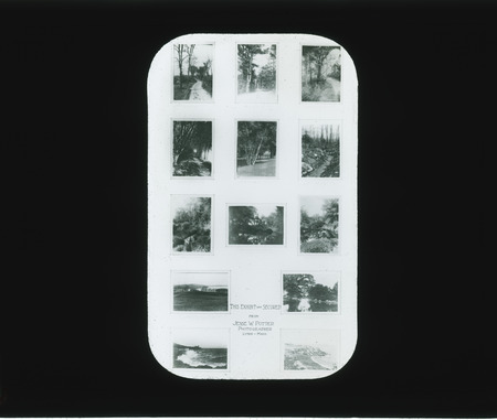 Photos of forest, shore and lake from Jesse W. Potter, Panama Pacific Exposition 1915, Massachusetts.