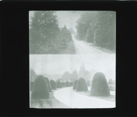 Driveways lined with manicured shrubs and trees.