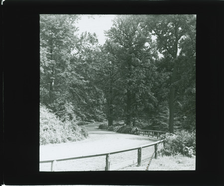 Road through forest.