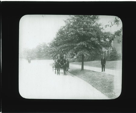 Tree lined road in Sept. 9, 1909.
