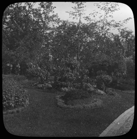 Lawn with beds (Puerto Rico ?).