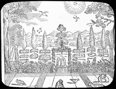 Line art conception of Andreini's Paradise in the poem "L'Adamo" [Illustration from the 17th century].