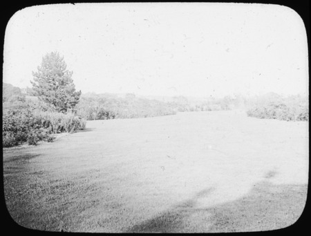 Vista at W. H. Moore's, the Esplanade.