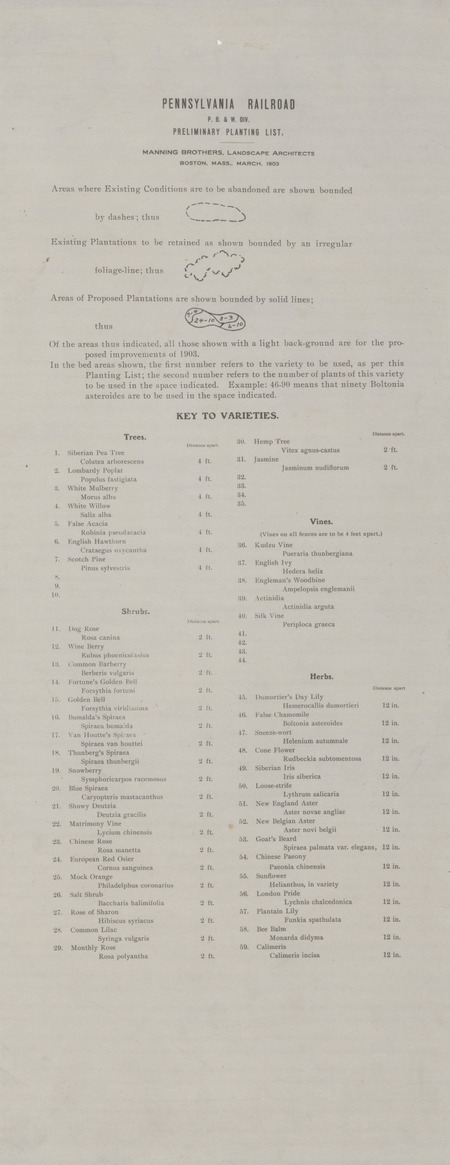 Item from a series that includes aerial perspectives, drawings, floor plans, maps, planting plans, site plans, sketches, and surveys. The locations are in the East and Midwest and include Milwaukee parks (Wisconsin), the University of Minnesota, Rock City Amusement Park (New York), Cleveland Museum of Art, the Mackinac Island State Park commission (Michigan), Oak Hill Cemetery (Youngstown, Ohio), Asheville University (North Carolina), and Western Reserve Academy (Ohio). The project numbers are indicated with the title of each object.  Cco: Ink on paper; 8.5 x 22 inches