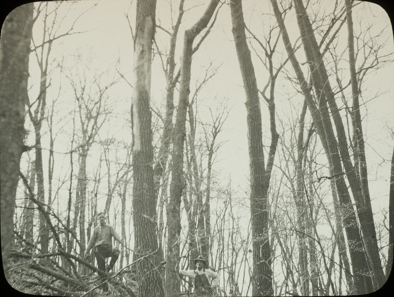 Two unidentified men standing in front of bare trees in a heavily wooded area. Slide originally titled "Great Horned Owl Nest in Tree."