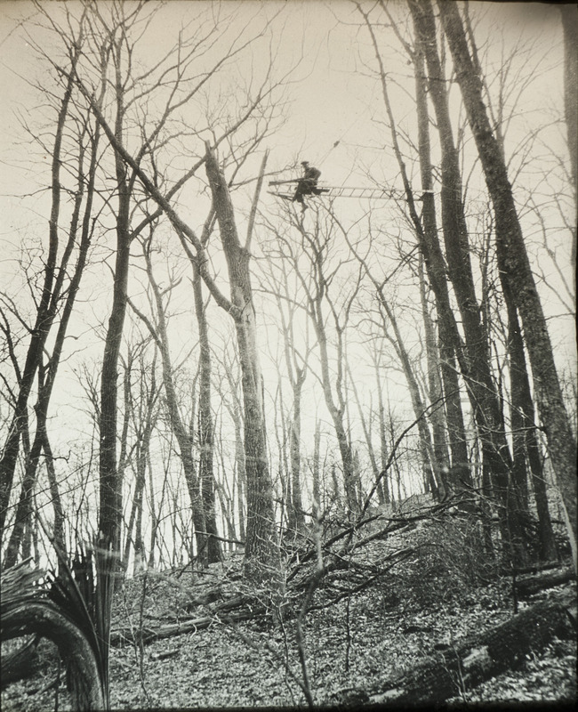 Walter Rosene sitting on a ladder that is attached to tree trunk. Rosene is attached to the tree via a pulley system in order to create a swinging scaffold which was used to reach and photograph the nest of a Great Horned Owl, located 37 feet up in the top of hollow tree. Slide originally titled "Ladder to Nest." Rosene provides details on photograph and typewritten note.