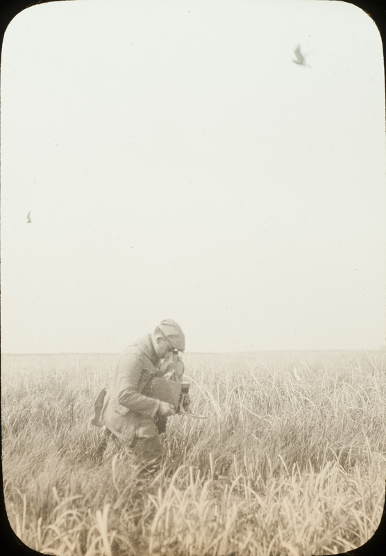 Walter W. Bennett photographing a Black Tern's nest while both terns are in the air flying above, June 17, 1924. Slide originally titled "Walter Bennett Photographing." Rosene provides details on photograph. These items are related to Rosene's journal: https://n2t.net/ark:/87292/w9jd4pp05.