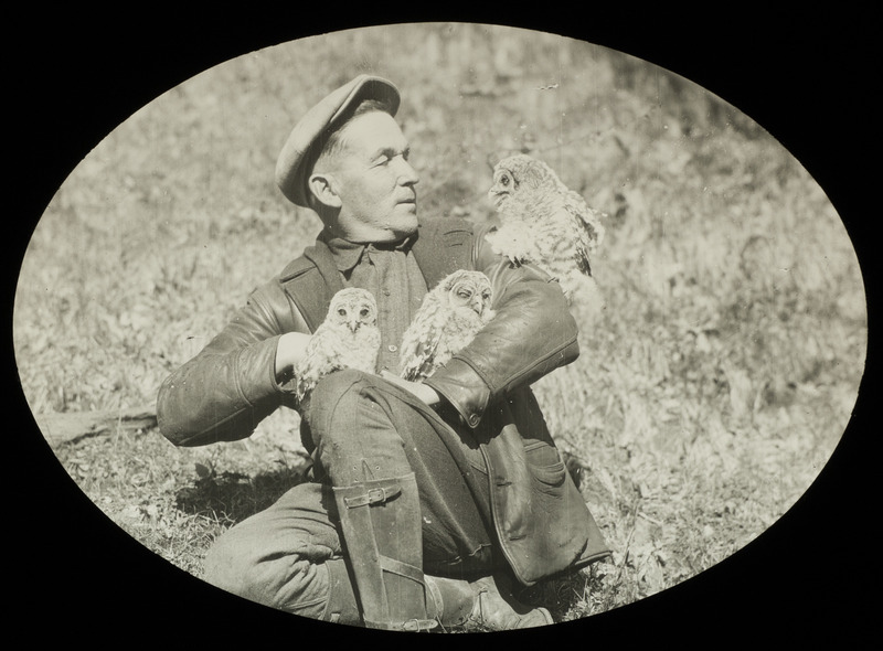 Walter Rosene sitting on the ground, posing with three owls, April 28, 1929. Rosene has an owl perched on his shoulder, while holding two more owls in his arms. Slide originally titled "Walter Rosene and Owls."