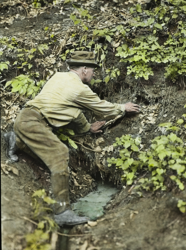 Walter Rosene examining a Louisiana Water Thrush nest with four young inside, located directly over Battin Spring, May 25, 1932. Slide originally titled "W. M. Rosene at Nest Site of Louisiana Water Throat." The lantern slide is hand-colored. Rosene provides details on photograph.