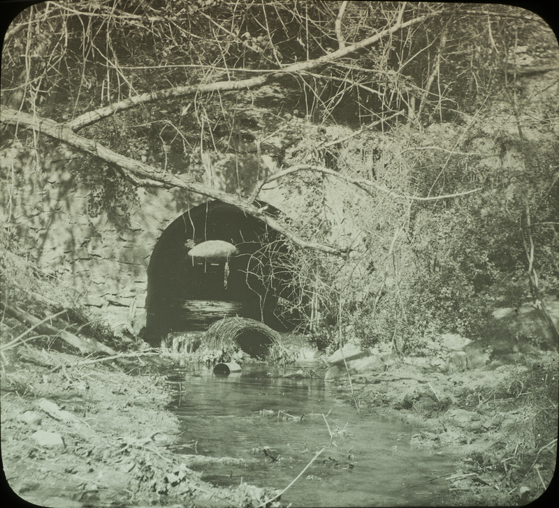 The cement culvert that was home to a Phoebe nest, May 2, 1925. Slide originally titled "Phoebe Nest Site." Rosene provides details on photograph.