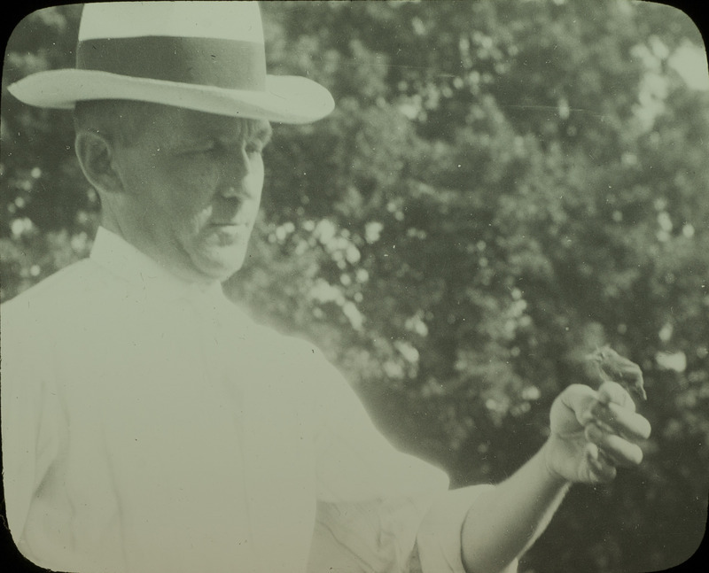 A young House Wren perching on the hand of Walter Rosene. Slide originally titled "W.M. Rosene and Young House Wren." Rosene provides details on photograph.