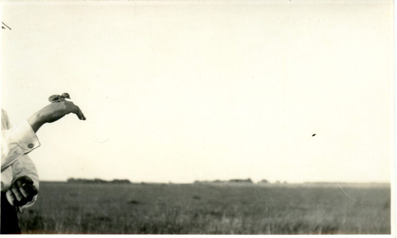 A young Pied-billed Grebe sitting on the hand of an unidentified person, June 28, 1922. Photograph originally titled "Young Pied Billed Grebe." Rosene provides details on back of photograph.