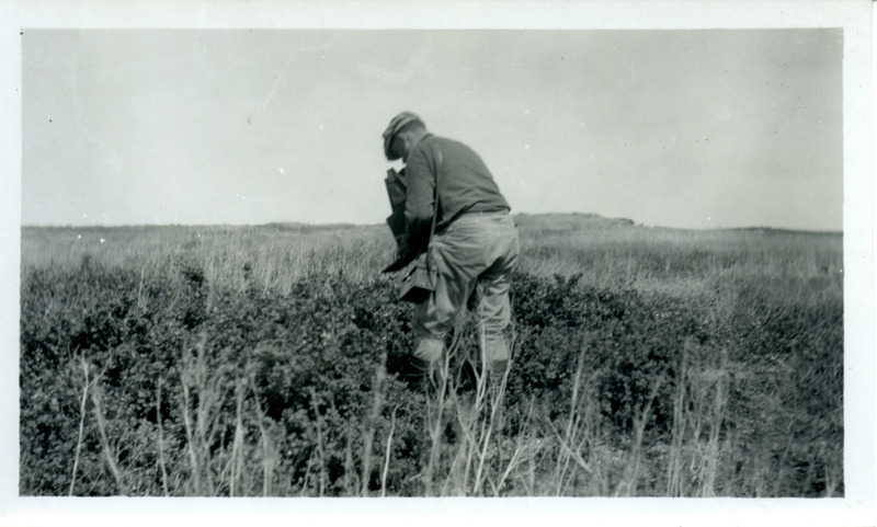 Walter W. Bennett photographing a Pintail Duck nest, located in a gooseberry bush on Loon Island, Stump Lake, North Dakota, June 21, 1924. Photograph originally titled "Walter W Bennett of Sioux City Photographing a nest of Pintail Duck." Rosene provides details on back of photograph. This item is related to Rosene's journal: https://n2t.net/ark:/87292/w9jd4pp05.