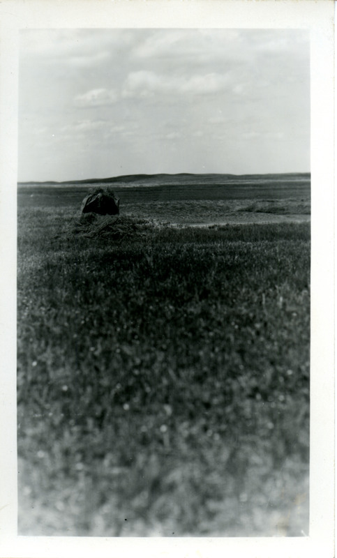 A bird watching blind where Rosene spent five hours waiting for a Pintail Duck, May 29, 1929. Photograph originally titled "Birdwatching blind." Rosene provides details on back of photograph. This photograph related to a photograph of a female Pintail Duck: https://avian.lib.iastate.edu/documents/7004/view.