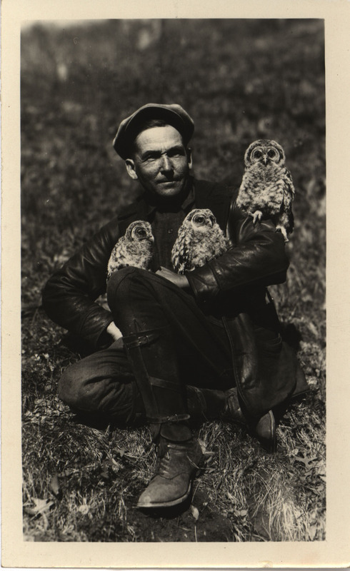 Walter Rosene sitting on the ground, posing with three Owls, April 28, 1929. Rosene has an Owl perched on his upper arm, while holding two more Owls. Photograph originally titled "Rosene with Three owls."