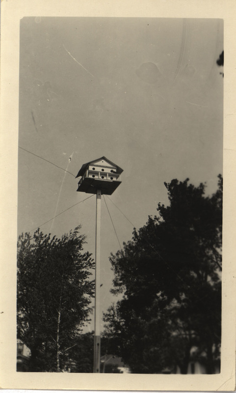 A sixteen room Purple Martin house on a pole, 1925. Photograph originally titled "Martin House." Rosene provides details on back of photograph.