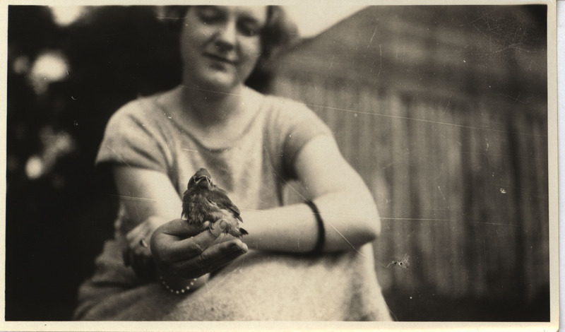 An unidentified woman holding a young Cedar Waxwing at Woman Lake, Minnesota, July 31, 1924. Photograph originally titled "Young Cedar Waxwing." Rosene provides details on back of photograph.