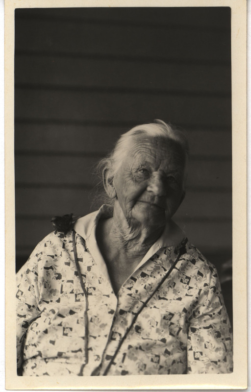 A Yellow Warbler perching on Walter Rosene's grandmother's shoulder, July 11, 1933. Photograph originally titled "Yellow Warbler on Grandma's shoulder." Rosene provides details on back of photograph.