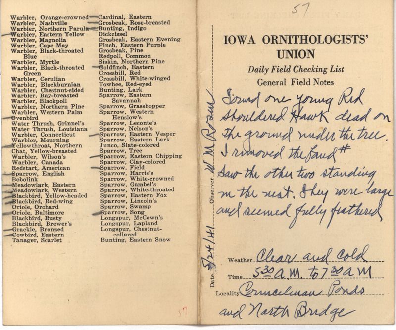 Daily field checking list of birds observed in Boone County by Walter Rosene, May 24, 1941. Also notes a deceased young Red-shouldered Hawk at the base of a tree and two other young Red-shouldered Hawks standing in a nest.