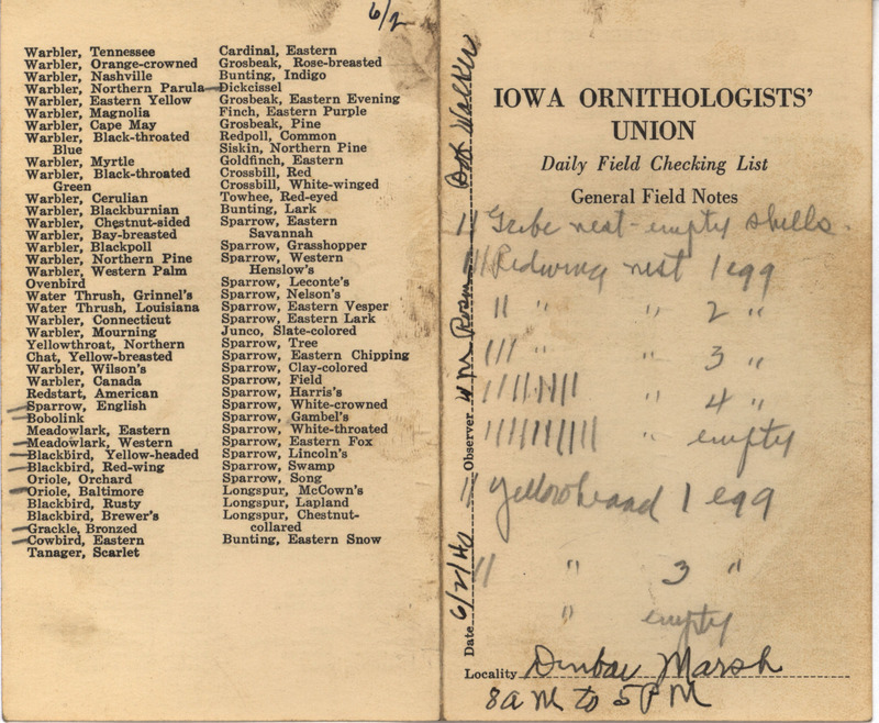 Daily field checking list of birds observed at Dunbar Slough by Walter Rosene and Robert Walker, June 2, 1940. Also notes a Red-winged Blackbird nest and a Yellow-headed Blackbird nest each with eggs.