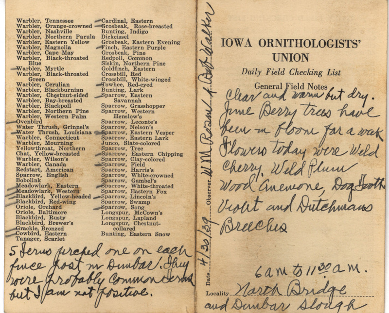 Daily field checking list of birds observed in Boone County by Walter Rosene and Robert Walker, April 30, 1939. Also notes the blooming Juneberry trees and several types of blooming wildflowers.