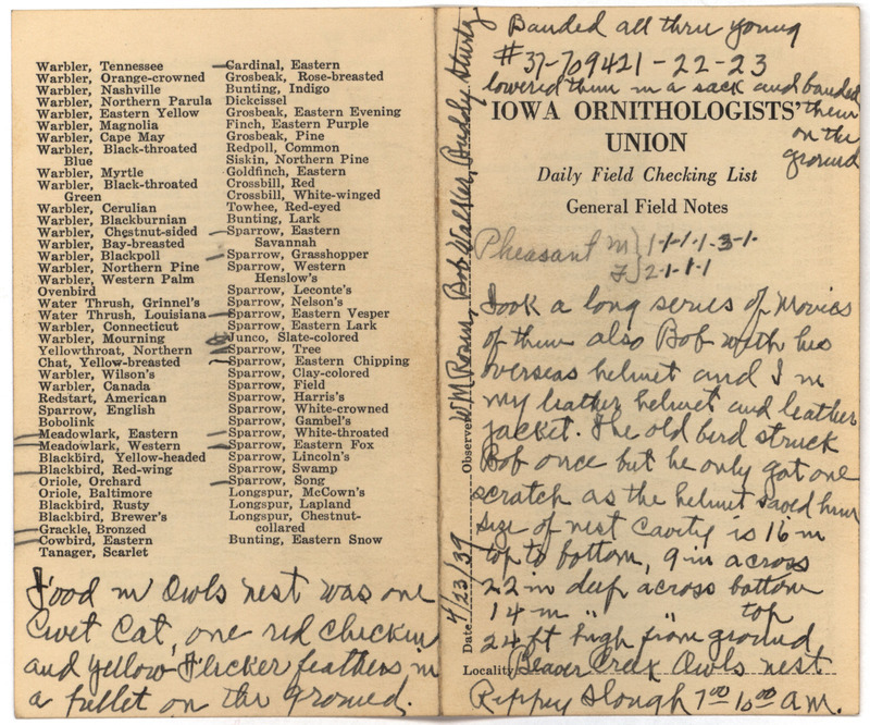 Daily field checking list of birds observed in Boone County by Walter Rosene, Robert Walker and Buddy Sturtz, April 23, 1939. Also notes they banded all three young Great Horned Owls and in the process of banding Robert Walker was struck once by one of the old Great Horned Owls.