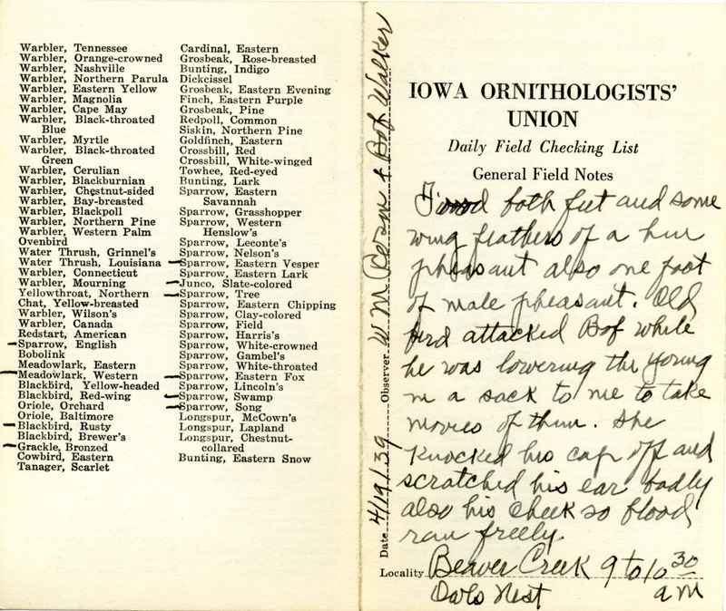 Daily field checking list of birds observed in Boone County by Walter Rosene and Robert Walker, April 19, 1939. Also notes the old Great Horned Owl attacked Robert Walker when he was lowering the young owls to the ground so Walter Rosene could take movies of them.