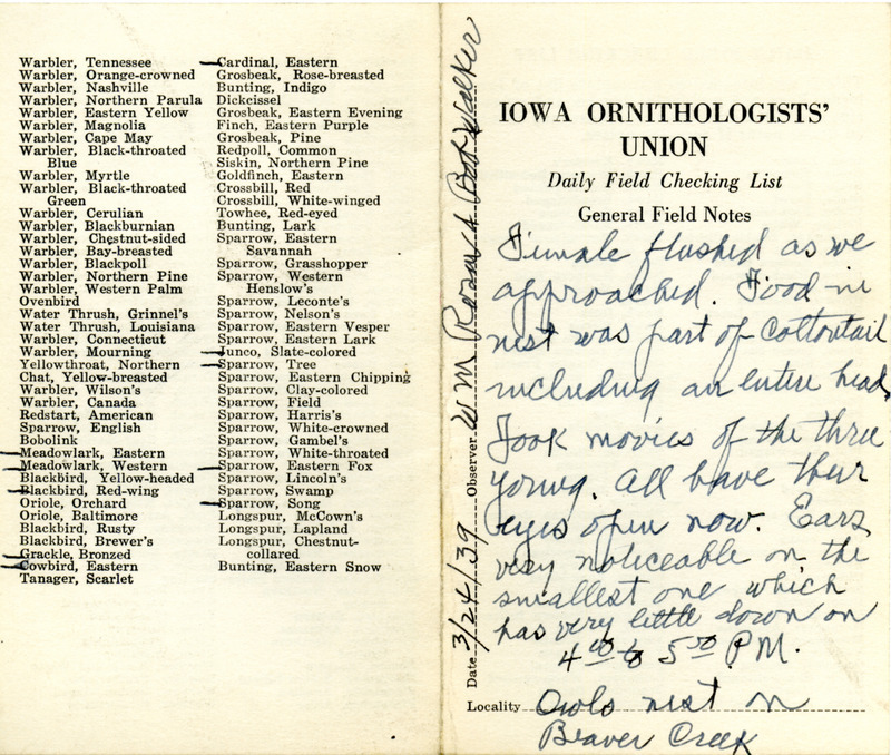 Daily field checking list of birds observed in Boone County by Walter Rosene and Bob Walker, March 24, 1939. Also notes the young Great Horned Owls all have their eyes open and ears that are very noticeable.