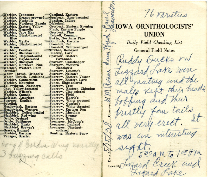 Daily field checking list of birds observed at Lizard Lake by Walter Rosene, Samuel J. Hyde and Paul Leaverton, May 15, 1938. Also notes many Ruddy Ducks on Lizard Lake were mating.