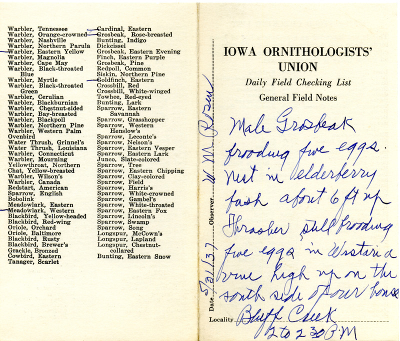 Daily field checking list of birds observed at Bluff Creek by Walter Rosene, May 31, 1937. Also notes a male Rose-breasted Grosbeak brooding five eggs and a Brown Thrasher brooding five eggs.