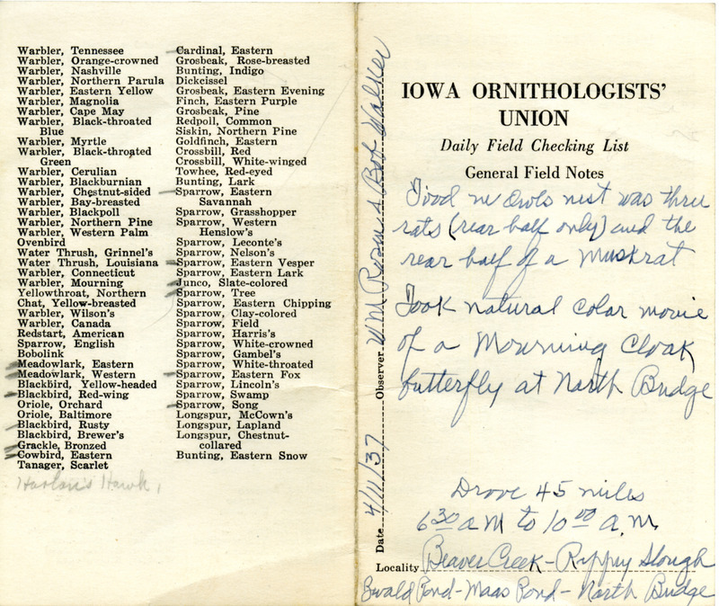 Daily field checking list of birds observed in Boone County by Walter Rosene and Bob Walker, April 11, 1937. Also notes there was food in the Great Horned Owl nest.