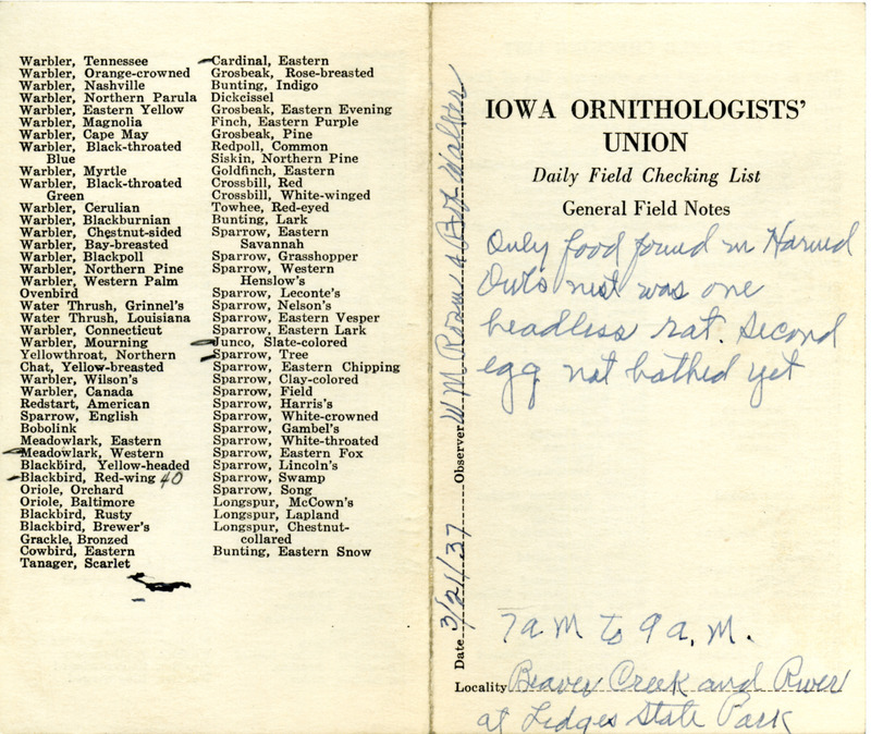 Daily field checking list of birds observed at Ledges State Park by Walter Rosene and Bob Walker, March 21, 1937. Also notes the second egg in the Great Horned Owl nest has not hatched yet.