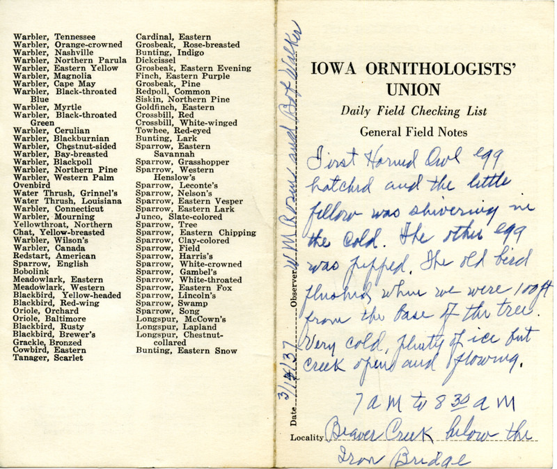 Daily field checking list of birds observed in Boone County by Walter Rosene and Bob Walker, March 14, 1937. Also notes the first egg in the Great Horned Owl nest has hatched.