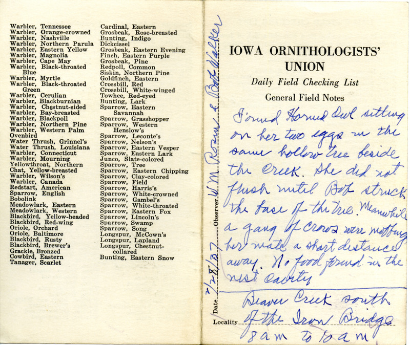 Daily field checking list of birds observed in Boone County by Walter Rosene and Bob Walker, February 28, 1937. Also notes the Great Horned Owl was sitting on her two eggs. Her mate was being mobbed by a gang of American Crows a short distance away.