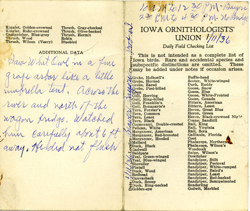 Daily field checking list of birds observed in Boone County by Walter Rosene and Bob Walker, January 11, 1936. Also notes he observed a Saw-whet Owl.