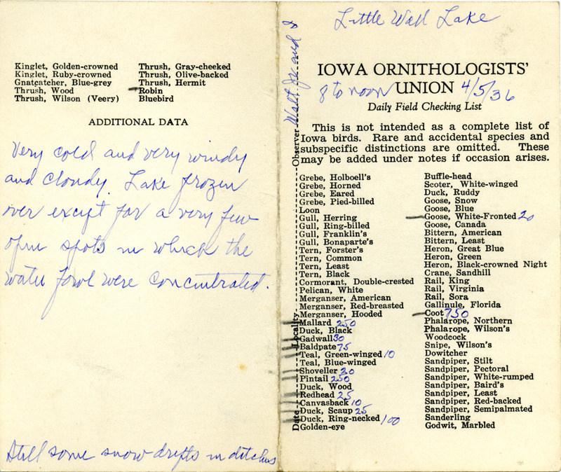 Daily field checking list of birds observed at Little Wall Lake by Walter Rosene and Walter Rosene, Jr., April 5, 1936. Also notes the lake was frozen over except for a very few open spots where the Waterfowl were concentrated.