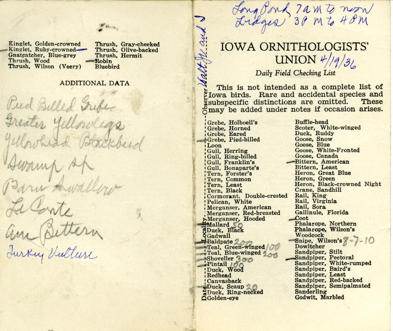 Daily field checking list of birds observed in Boone County by Walter Rosene and Walter Rosene Jr., April 19, 1936. Also includes handwritten notes on various bird species observed.